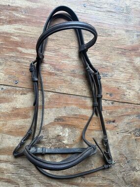 Horse sized schooling bridle